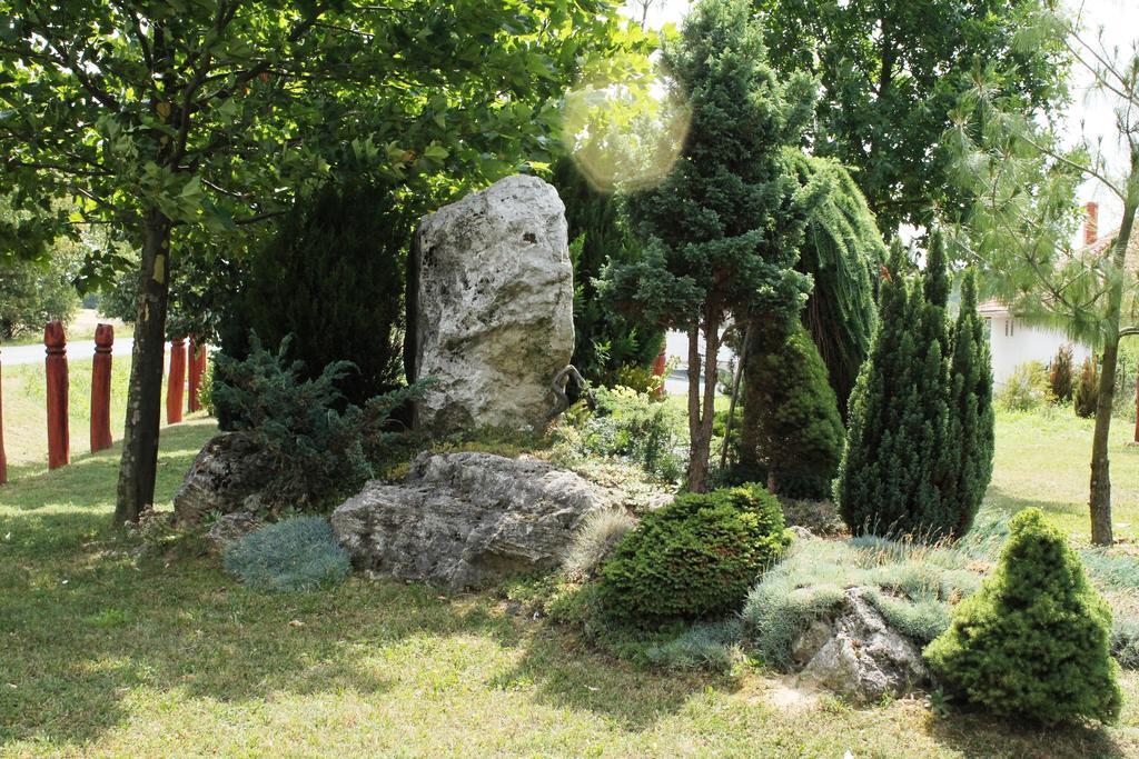 Margareta Panzio Hotel Horvatzsidany ภายนอก รูปภาพ